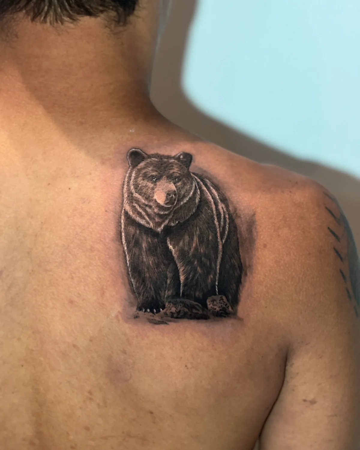 Tatuagem realista de urso na omoplata, cobrindo uma tatuagem antiga apagada
